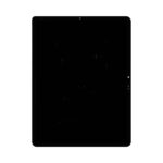 iPad Pro 13" 7th Gen LCD Assembly - All Colors (OEM)